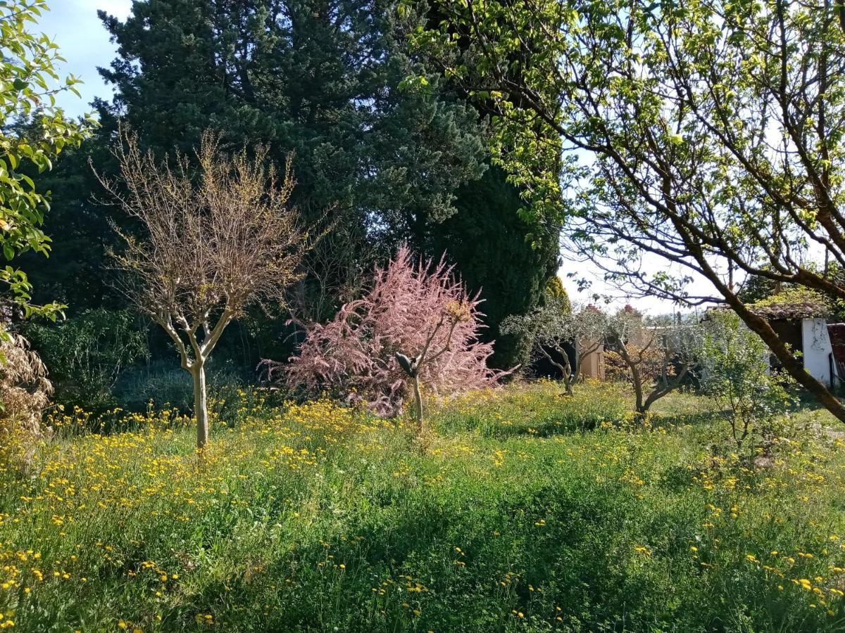 Au Mas Saint Pierre *