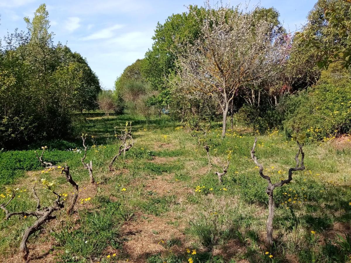 Au Mas Saint Pierre Pignans